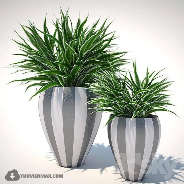 PRO PLANT 3D MODELS – 426