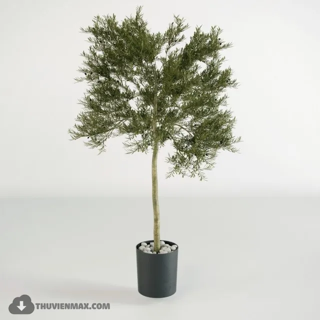 PRO PLANT 3D MODELS – 427