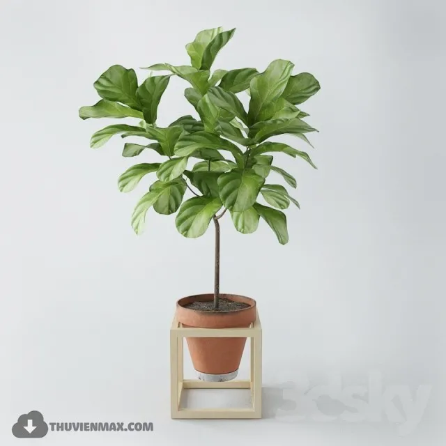 PRO PLANT 3D MODELS – 428