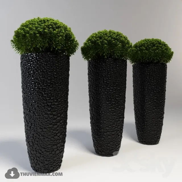 PRO PLANT 3D MODELS – 429