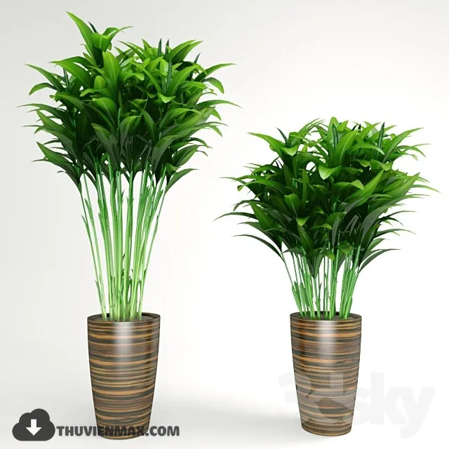 PRO PLANT 3D MODELS – 430