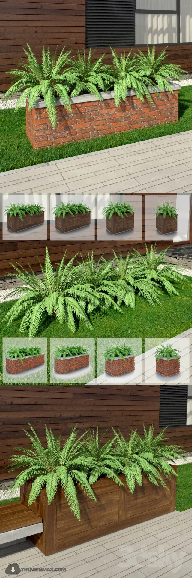 PRO PLANT 3D MODELS – 431