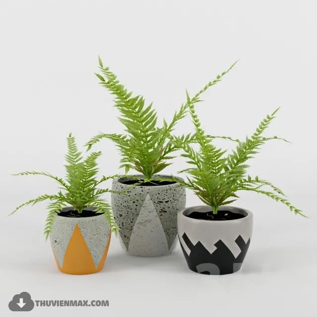 PRO PLANT 3D MODELS – 433