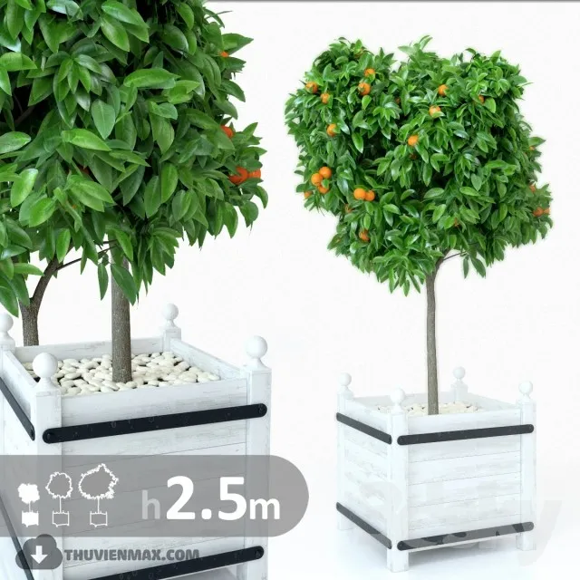 PRO PLANT 3D MODELS – 434