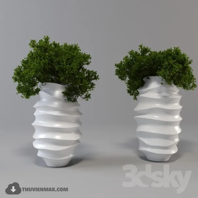 PRO PLANT 3D MODELS – 438