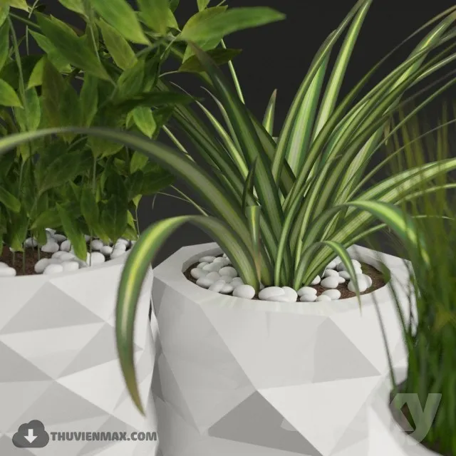 PRO PLANT 3D MODELS – 439