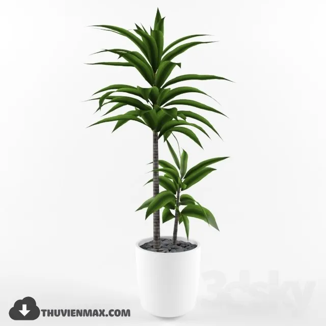 PRO PLANT 3D MODELS – 045