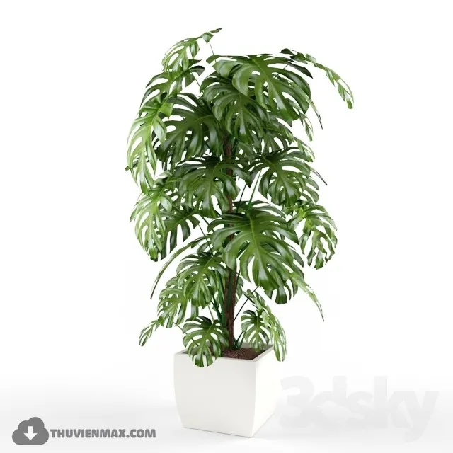 PRO PLANT 3D MODELS – 442