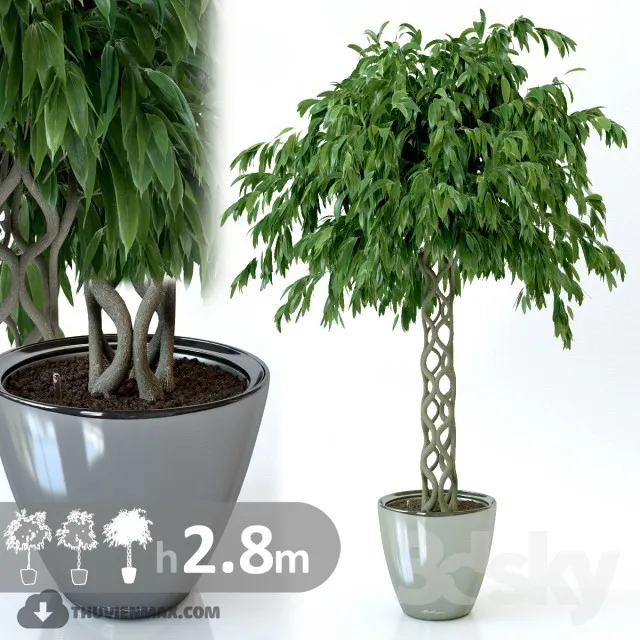 PRO PLANT 3D MODELS – 444