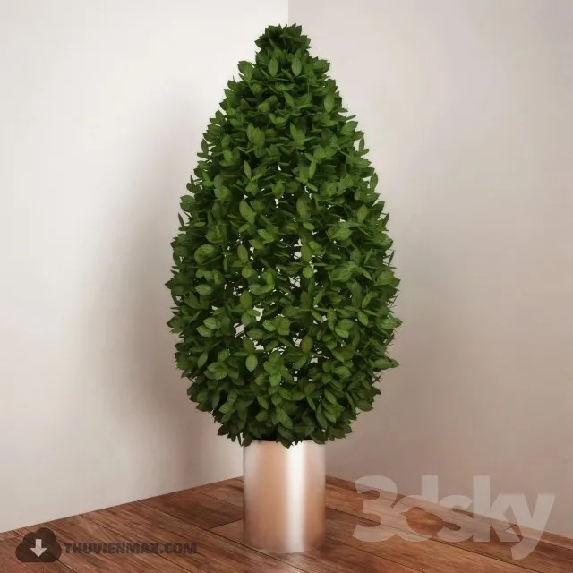 PRO PLANT 3D MODELS – 445