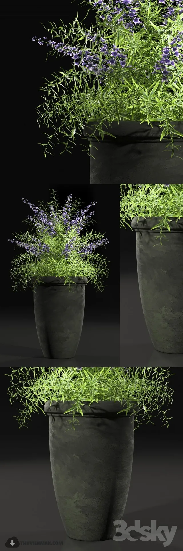 PRO PLANT 3D MODELS – 454