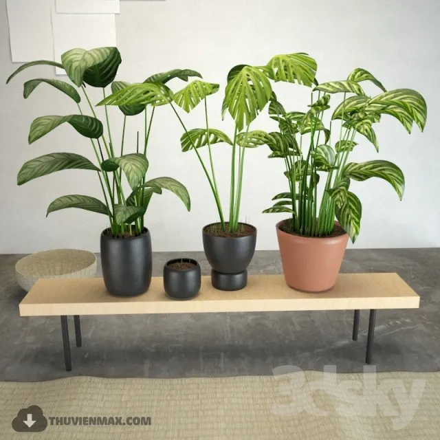 PRO PLANT 3D MODELS – 456