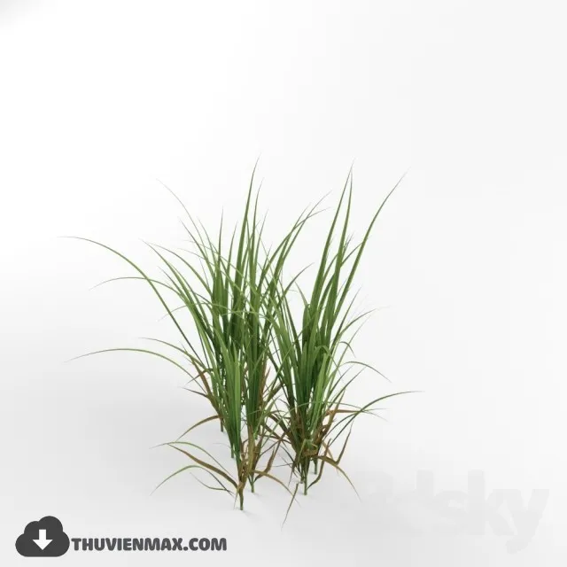 PRO PLANT 3D MODELS – 047