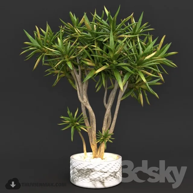 PRO PLANT 3D MODELS – 469