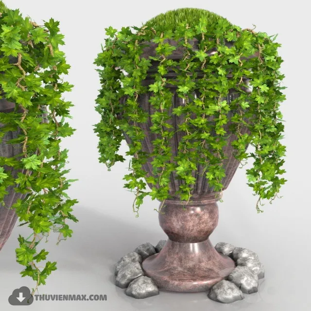 PRO PLANT 3D MODELS – 471