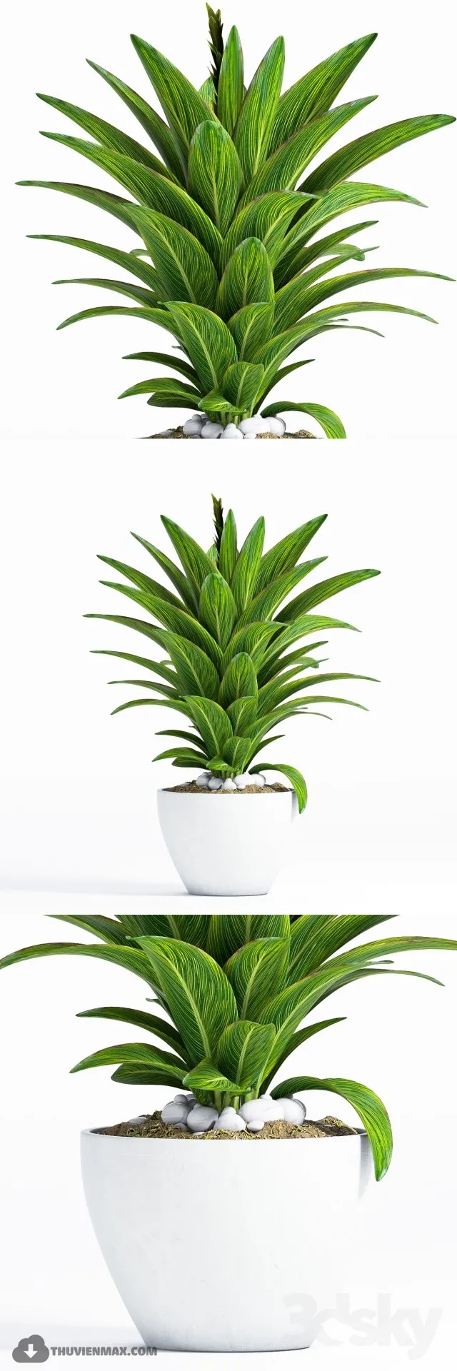 PRO PLANT 3D MODELS – 476