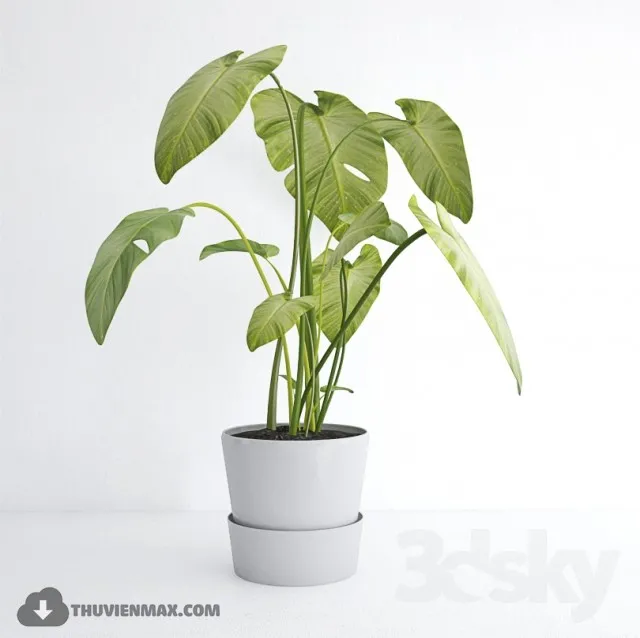 PRO PLANT 3D MODELS – 477