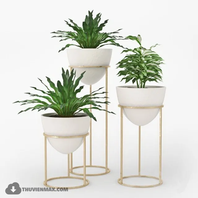 PRO PLANT 3D MODELS – 483