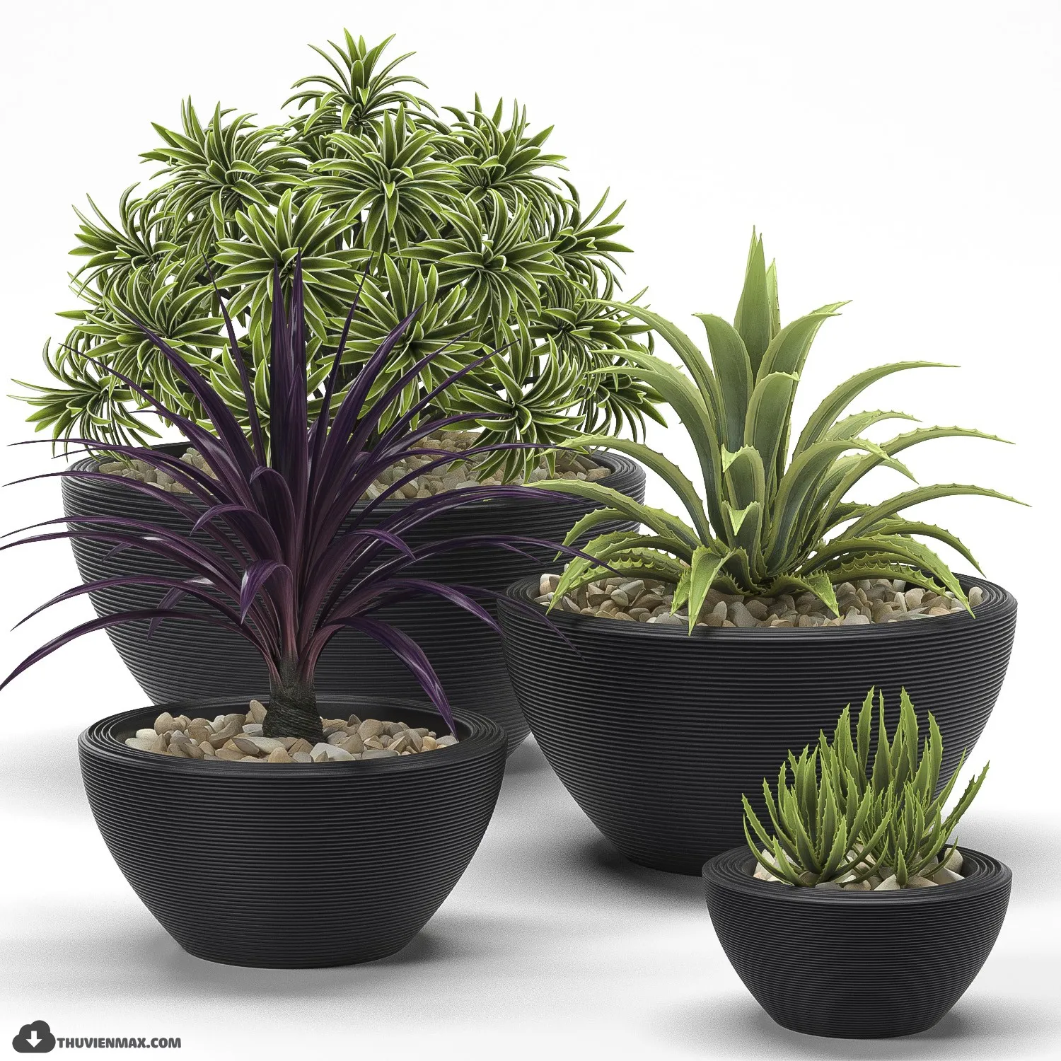 PRO PLANT 3D MODELS – 486