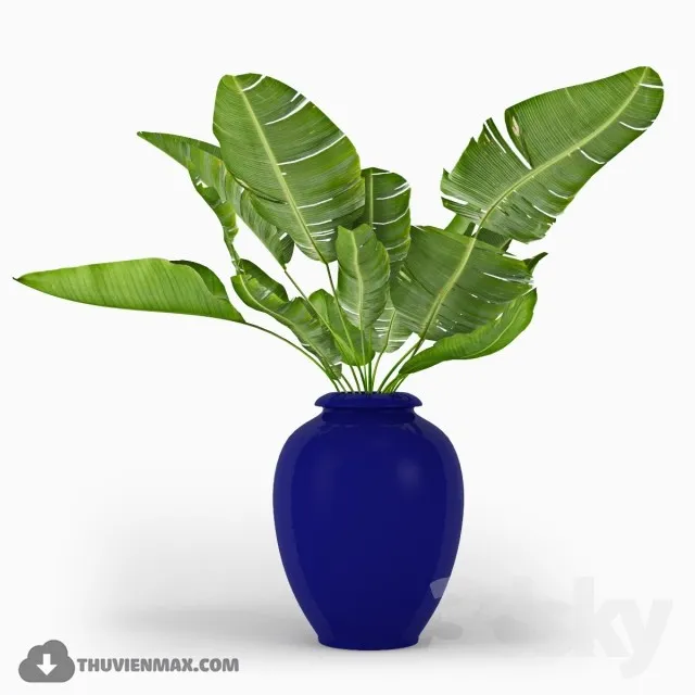 PRO PLANT 3D MODELS – 494
