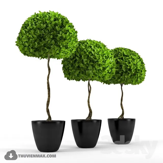 PRO PLANT 3D MODELS – 501