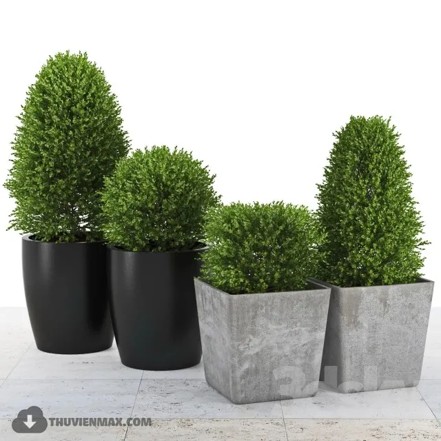 PRO PLANT 3D MODELS – 507