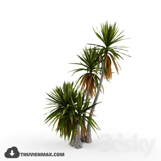 PRO PLANT 3D MODELS – 052