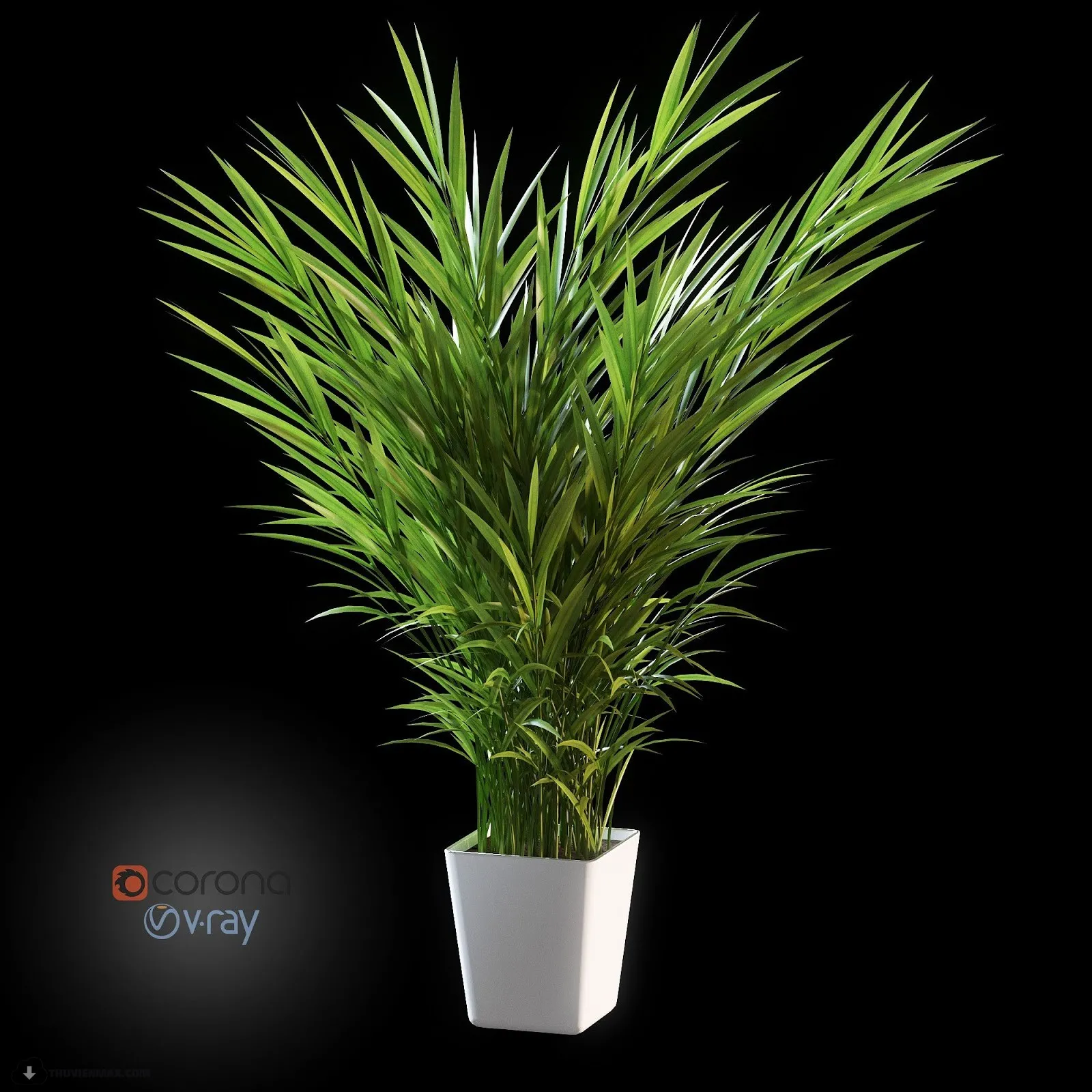 PRO PLANT 3D MODELS – 512