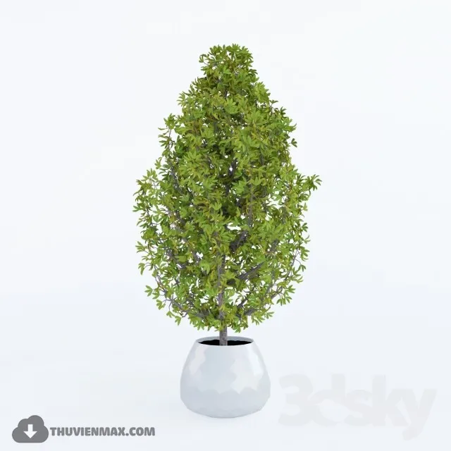 PRO PLANT 3D MODELS – 529