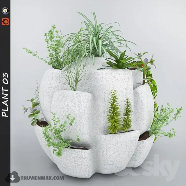 PRO PLANT 3D MODELS – 531