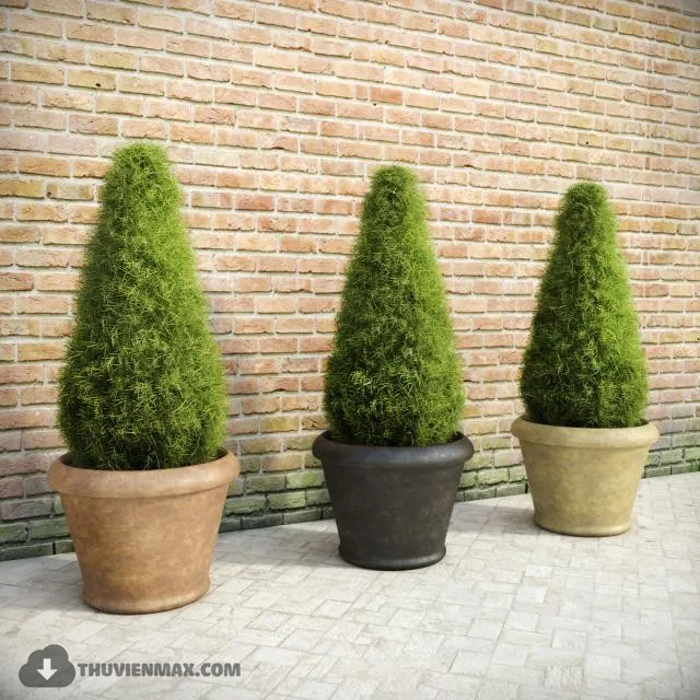 PRO PLANT 3D MODELS – 534