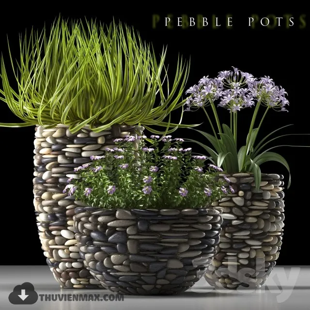 PRO PLANT 3D MODELS – 539