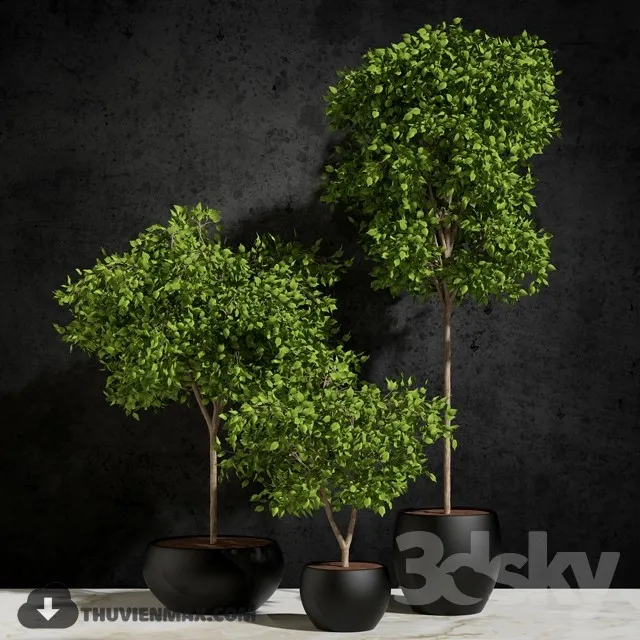 PRO PLANT 3D MODELS – 550
