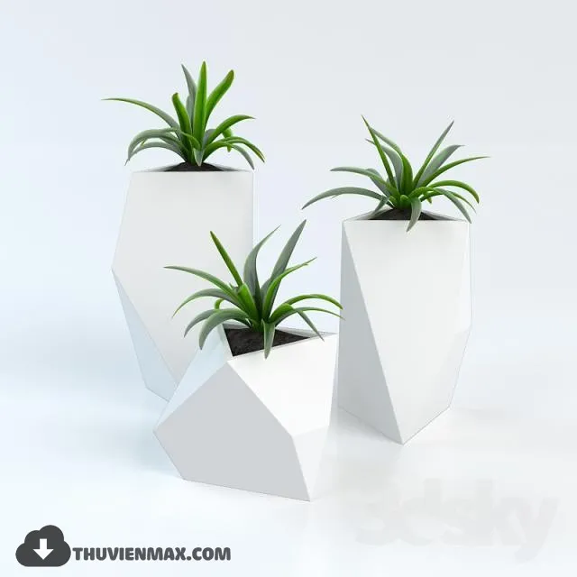 PRO PLANT 3D MODELS – 552