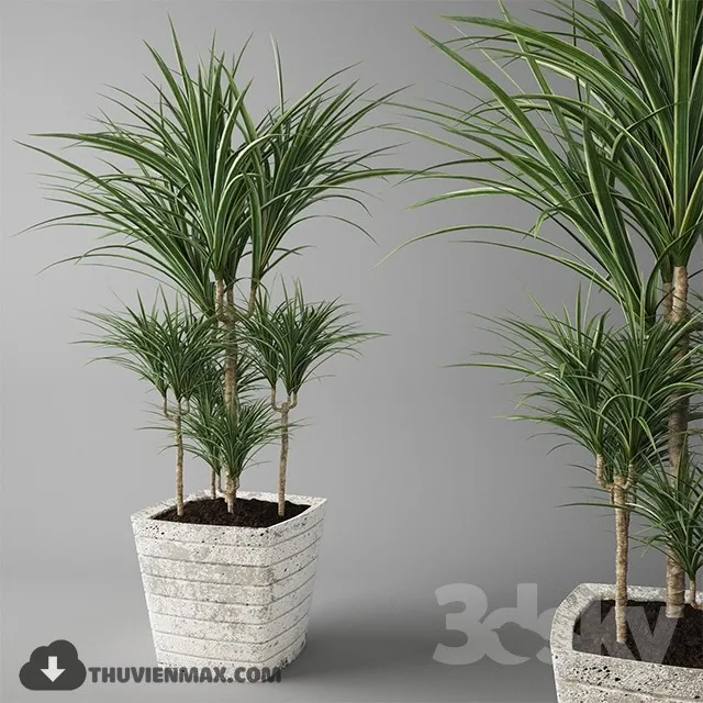 PRO PLANT 3D MODELS – 557