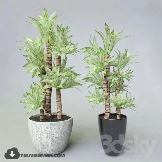 PRO PLANT 3D MODELS – 558