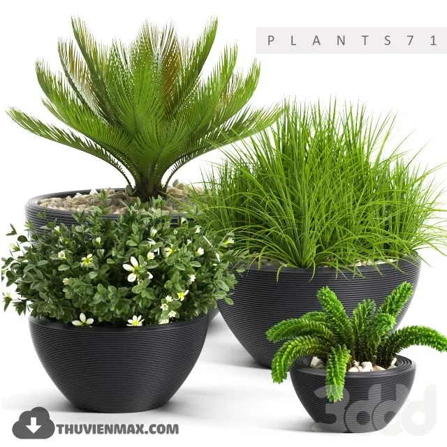 PRO PLANT 3D MODELS – 566