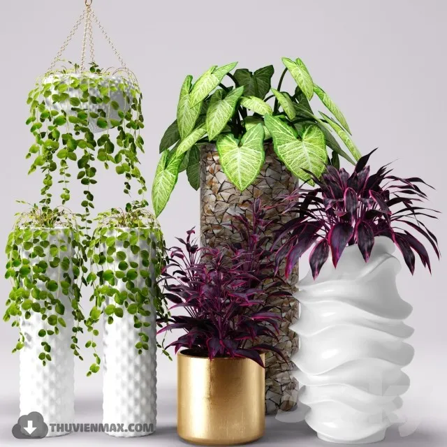 PRO PLANT 3D MODELS – 573