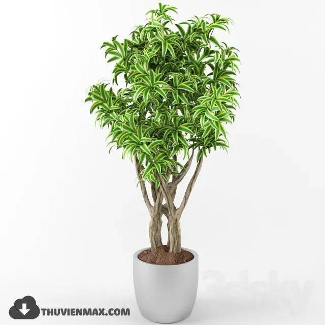 PRO PLANT 3D MODELS – 574