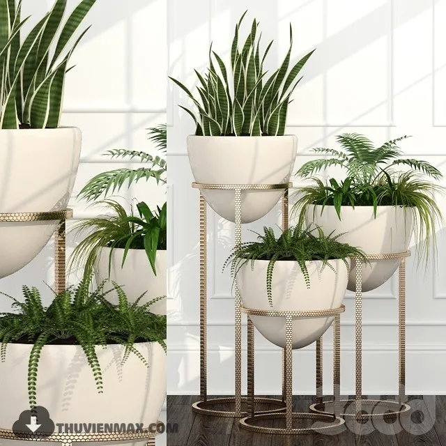 PRO PLANT 3D MODELS – 576