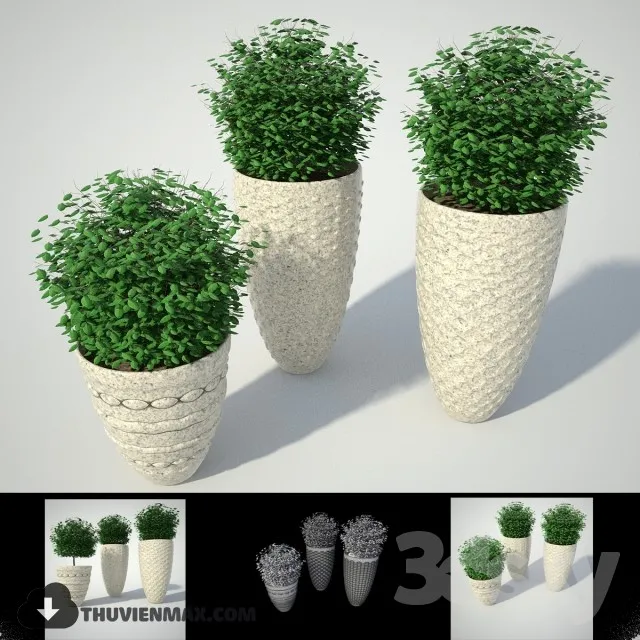 PRO PLANT 3D MODELS – 059