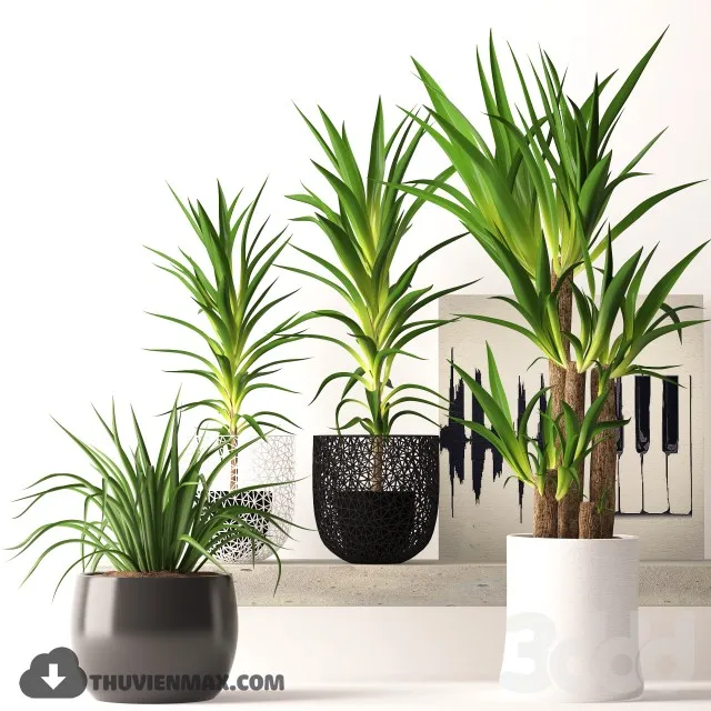 PRO PLANT 3D MODELS – 581