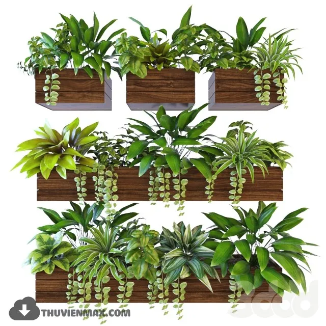PRO PLANT 3D MODELS – 582
