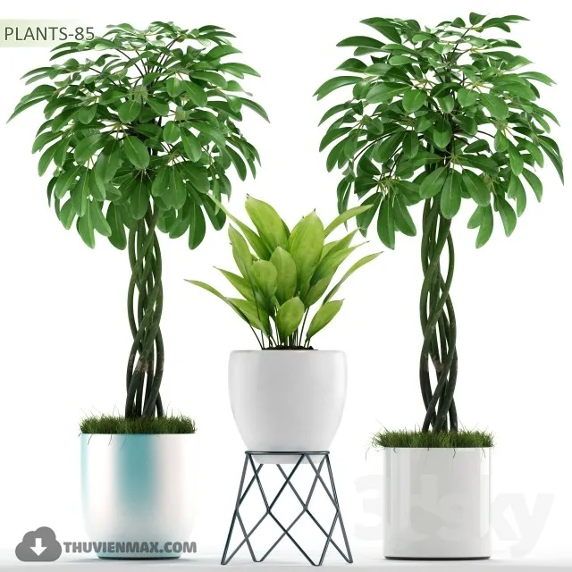 PRO PLANT 3D MODELS – 587