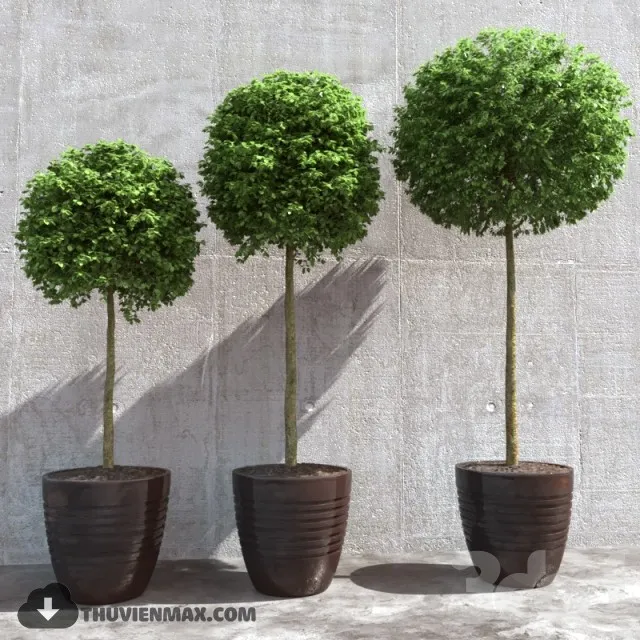 PRO PLANT 3D MODELS – 589