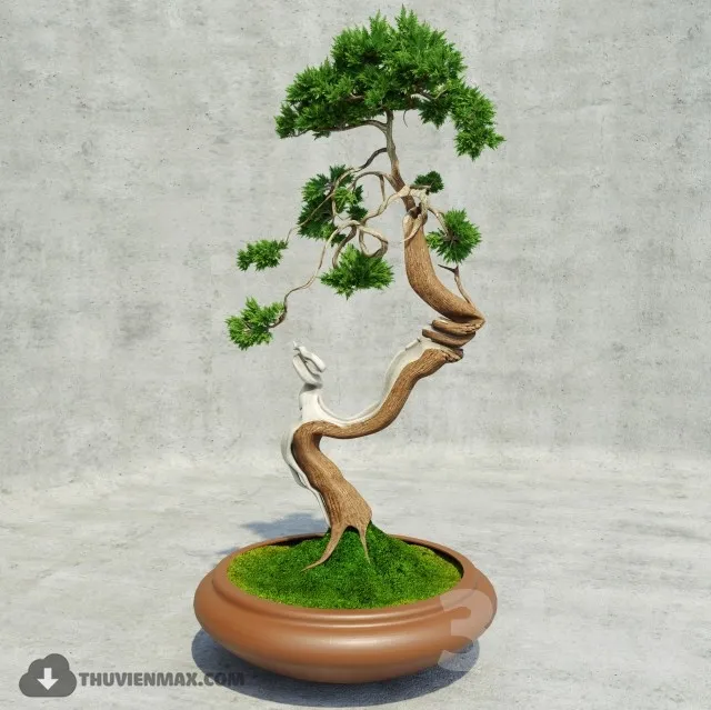 PRO PLANT 3D MODELS – 594