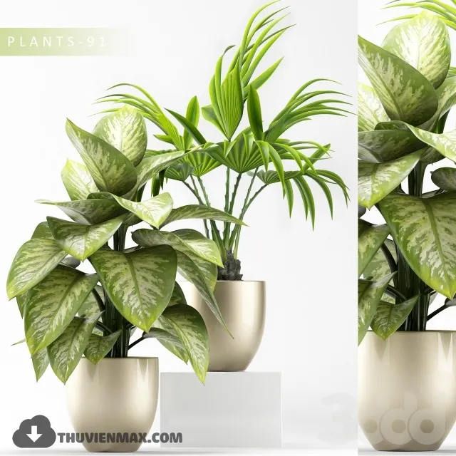 PRO PLANT 3D MODELS – 595