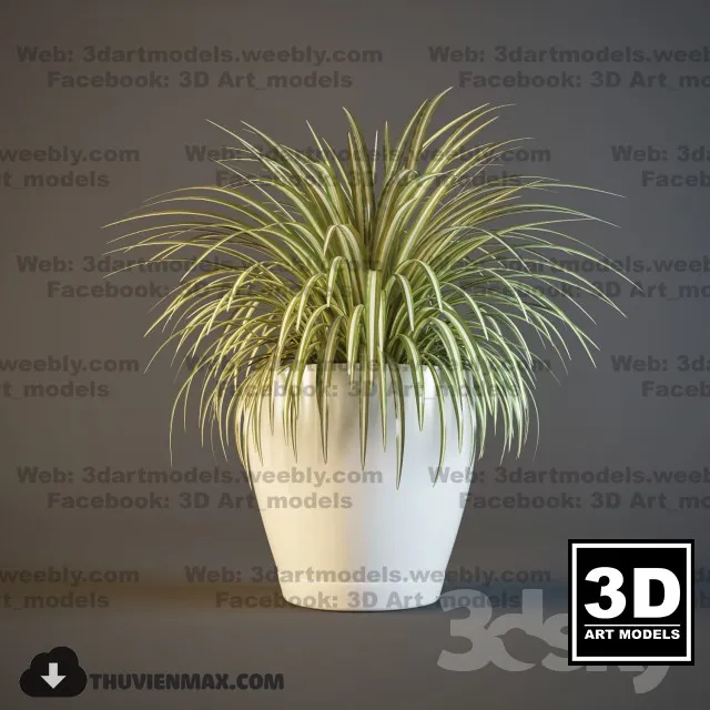 PRO PLANT 3D MODELS – 596