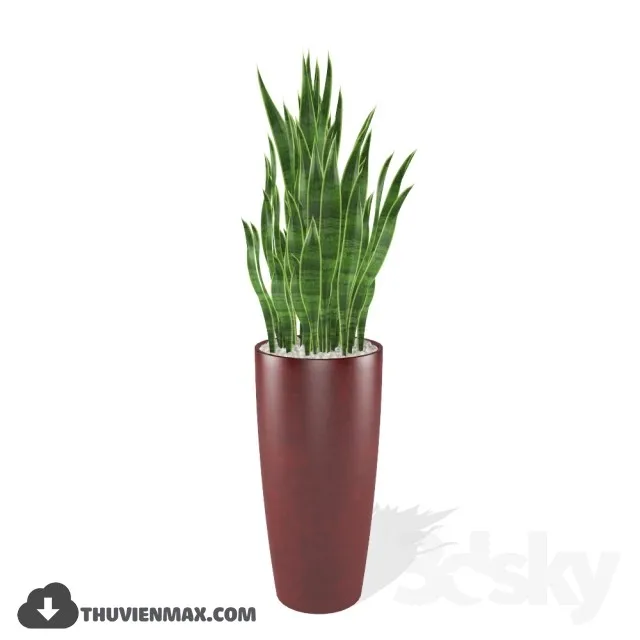 PRO PLANT 3D MODELS – 062