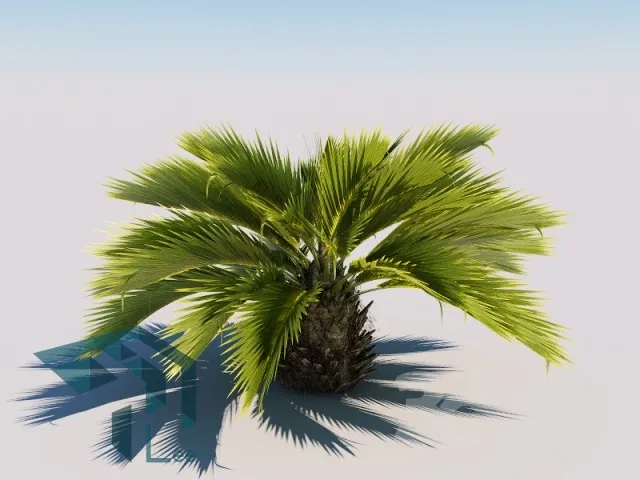 PRO PLANT 3D MODELS – 630